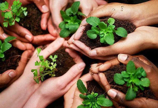 IT Investment Recoveries Environmental Responsibility